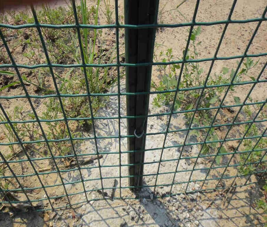 1535530421911148.jpg 1535530421911148.jpg